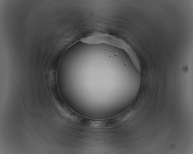 X0000091550088200708241804