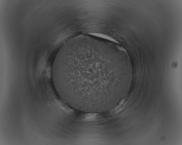 X0000091550090200708241804