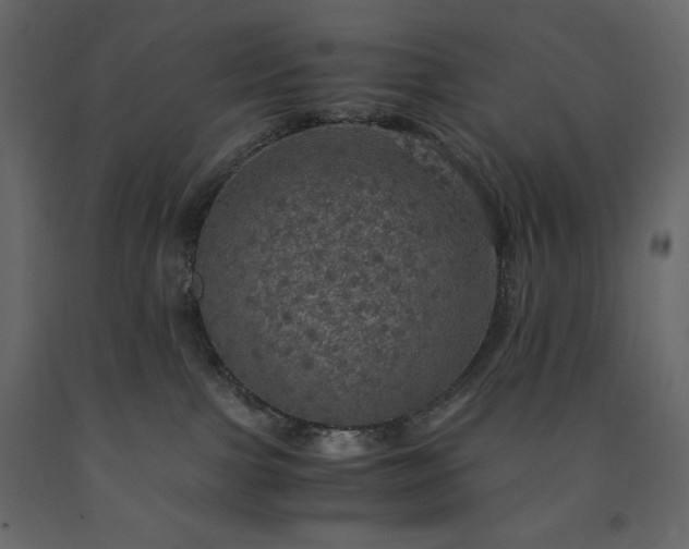 X0000091550091200708241804