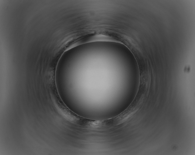 X0000091550092200708241804