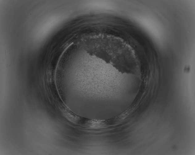 X0000091550093200708241804