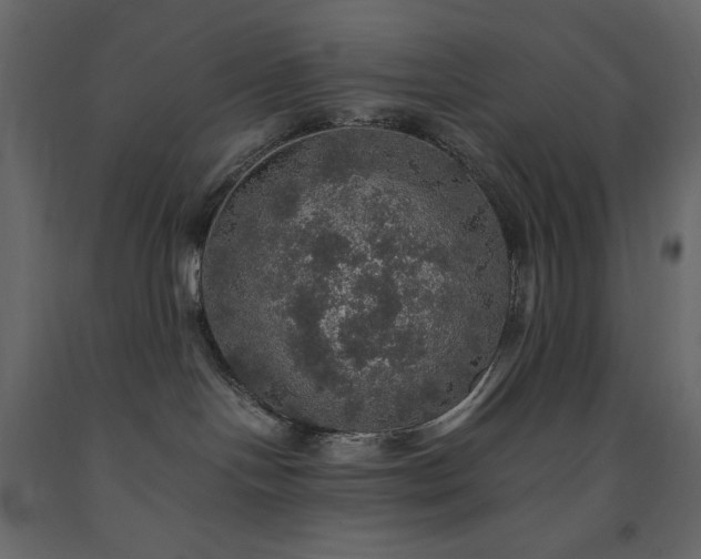 X0000091550094200708241804
