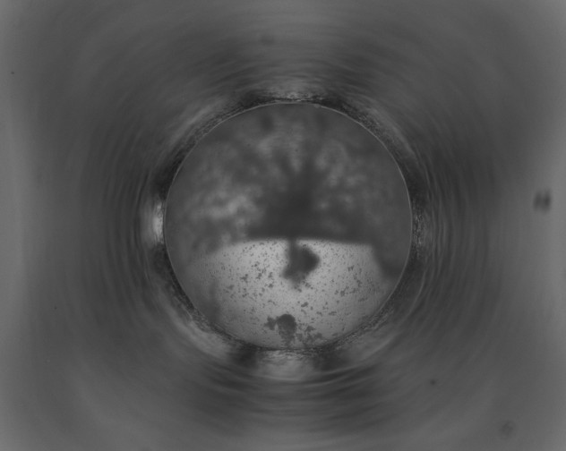X0000091550095200708241804