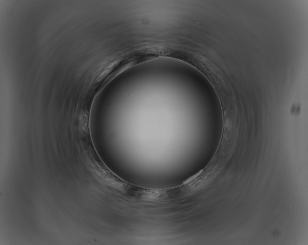 X0000091550096200708241804