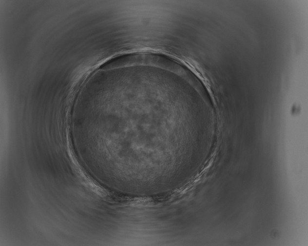 X0000091550097200708241803