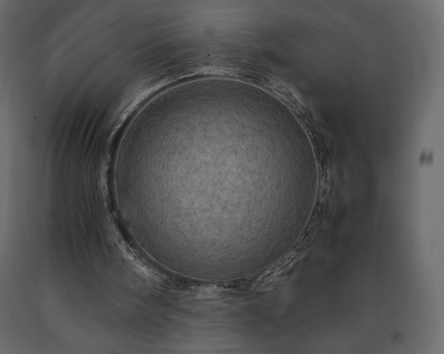 X0000091550098200708241803