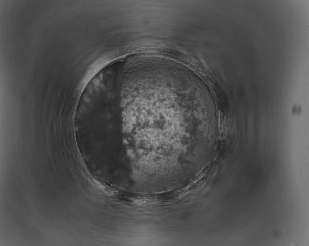 X0000091550099200708241803