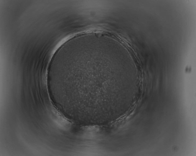 X0000091550100200708241803