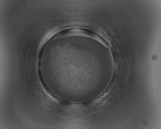 X0000091550101200708241803