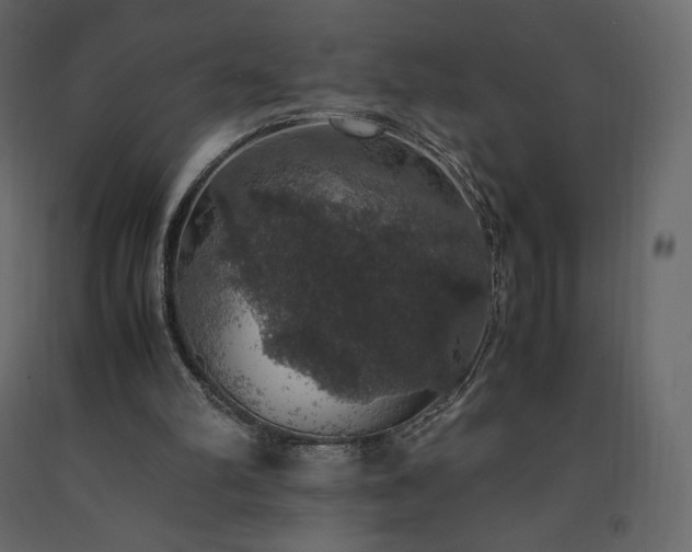 X0000091550102200708241803