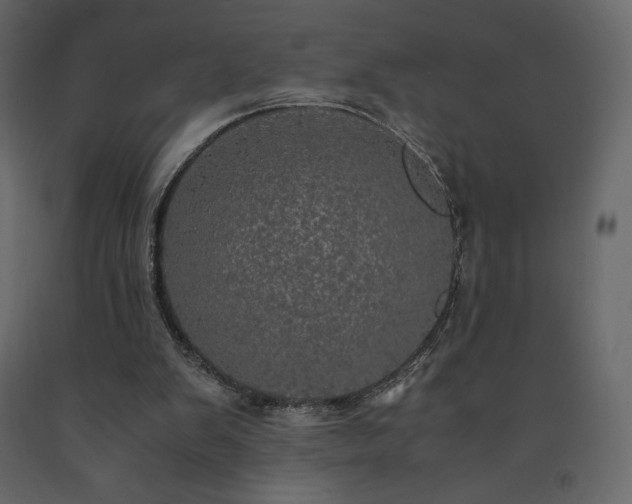 X0000091550103200708241803