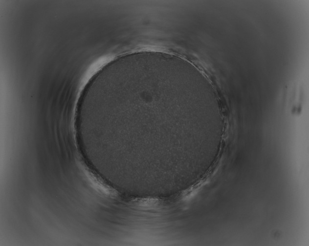 X0000091550104200708241803