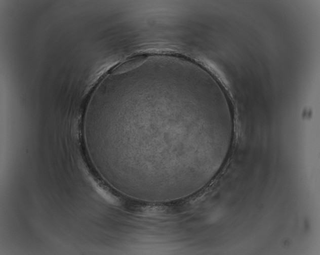 X0000091550105200708241803