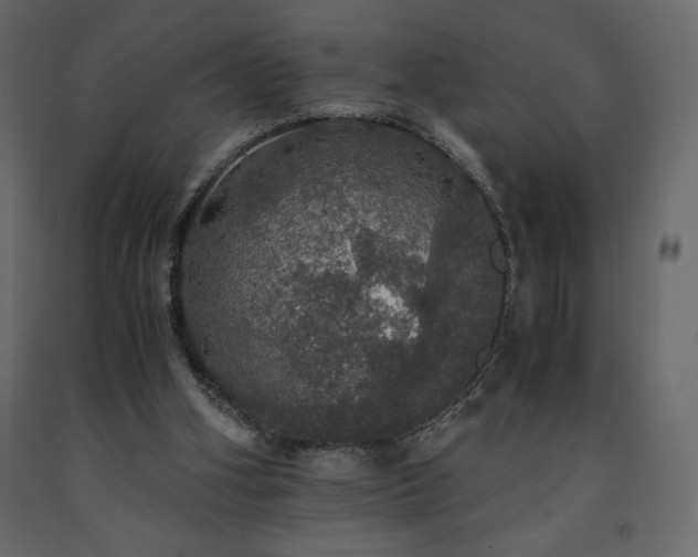 X0000091550106200708241803