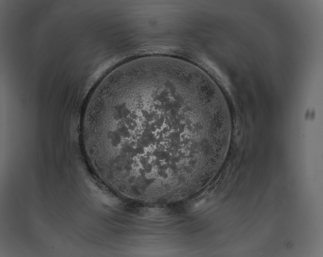 X0000091550107200708241803
