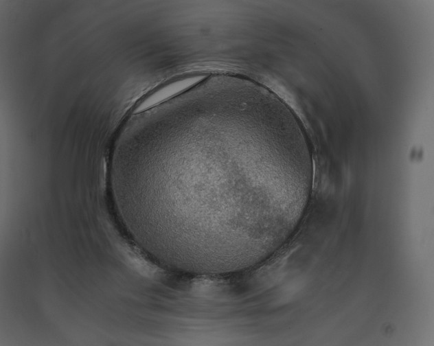 X0000091550109200708241803