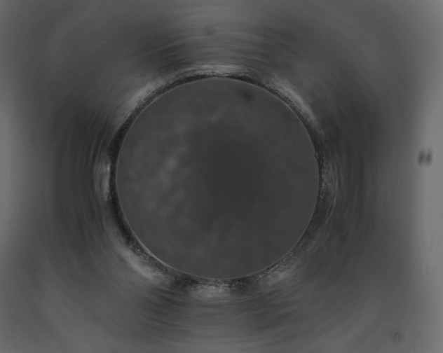 X0000091550110200708241803