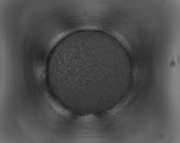 X0000091550112200708241803