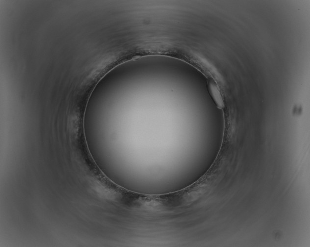 X0000091550113200708241803