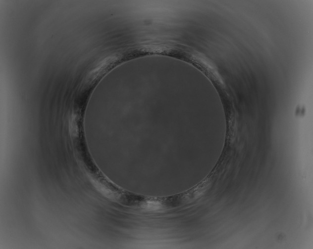 X0000091550114200708241803