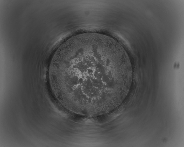 X0000091550115200708241803