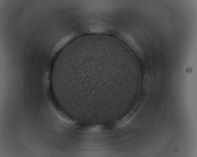 X0000091550116200708241803