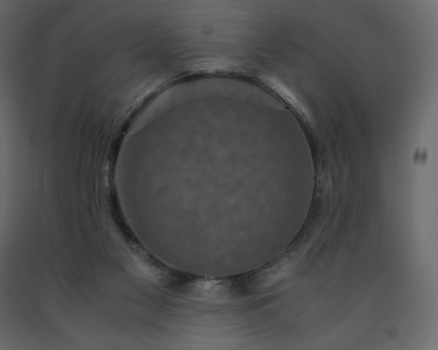 X0000091550117200708241803