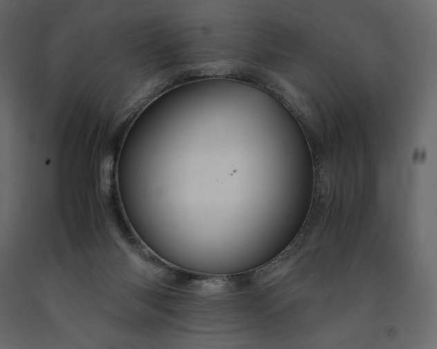 X0000091550118200708241803