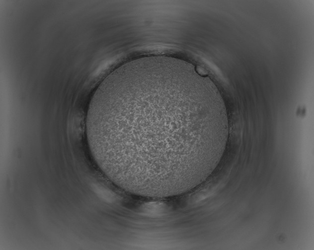 X0000091550119200708241803