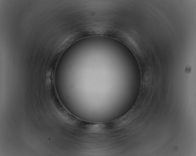 X0000091550122200708241803