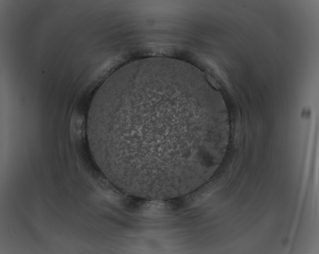 X0000091550123200708241803