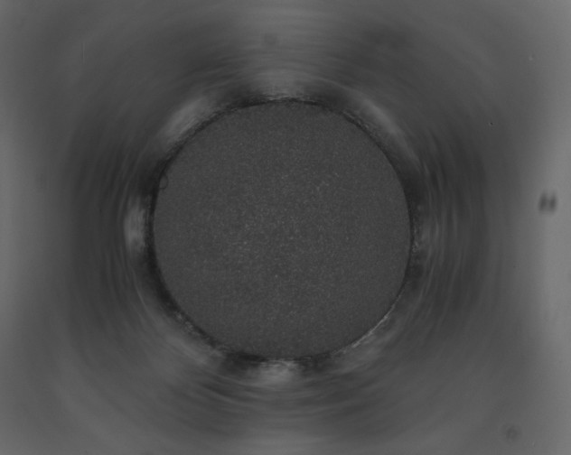 X0000091550124200708241803