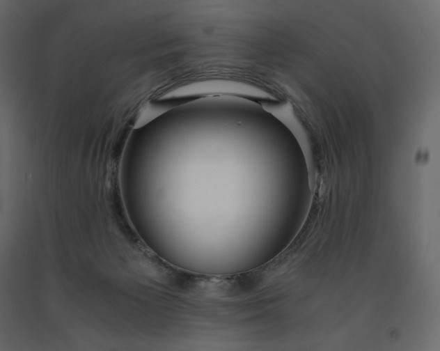 X0000091550125200708241803