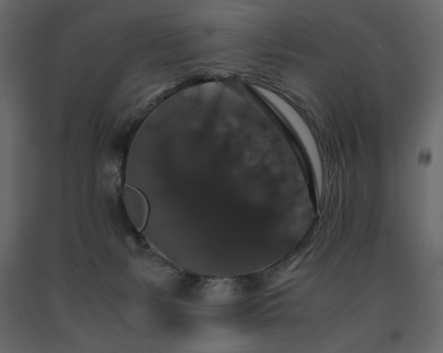 X0000091550127200708241803
