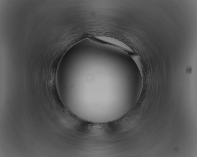 X0000091550129200708241803