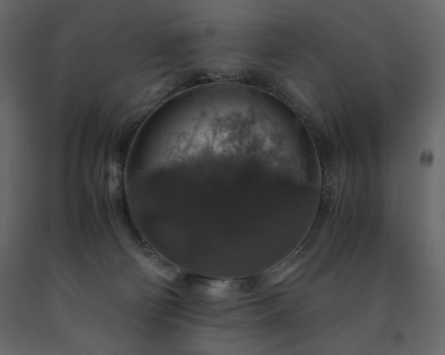 X0000091550130200708241803