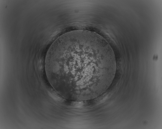 X0000091550131200708241803