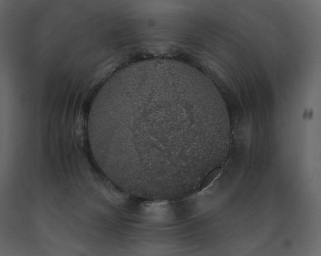 X0000091550132200708241803
