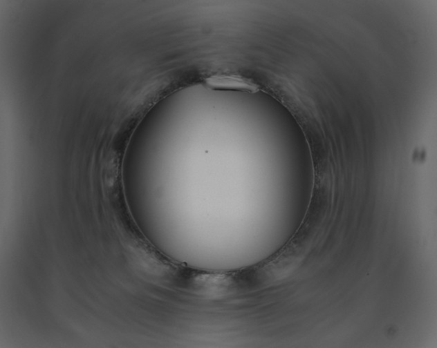 X0000091550133200708241803
