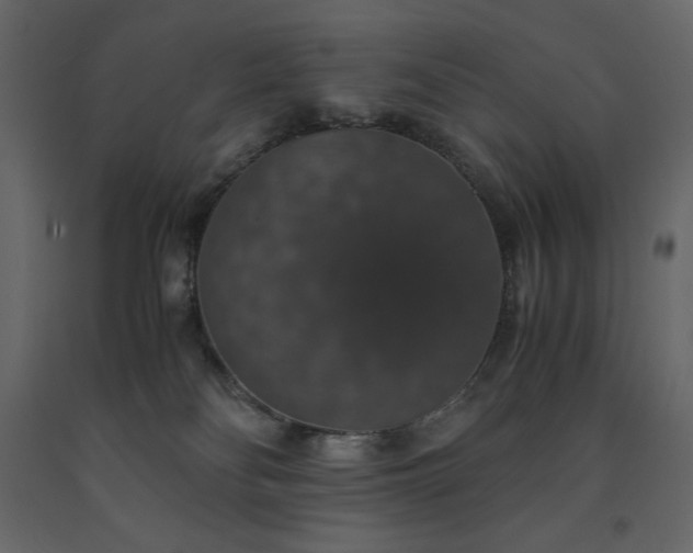 X0000091550134200708241803