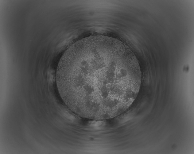X0000091550135200708241803