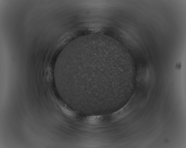 X0000091550136200708241803