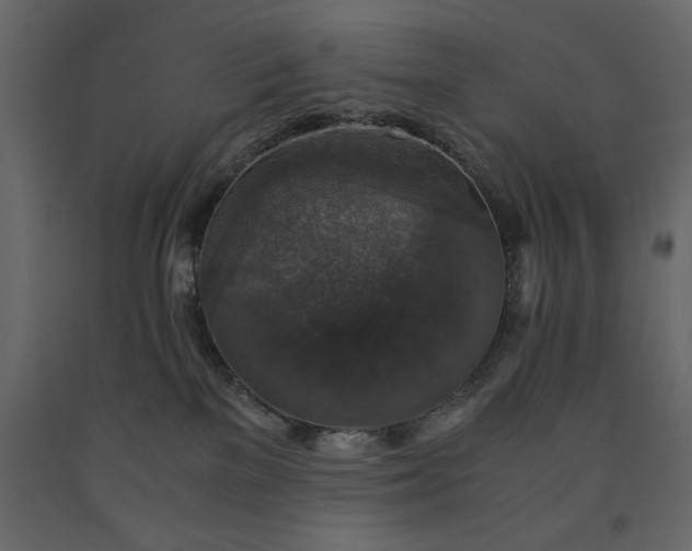 X0000091550137200708241803