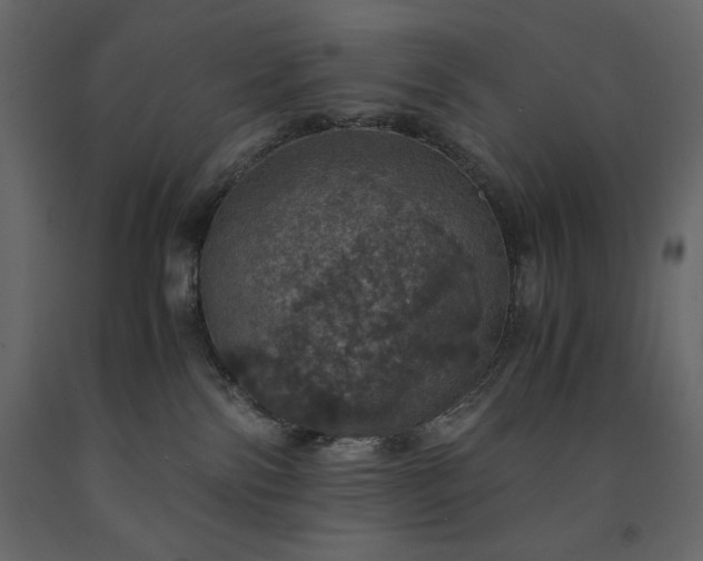 X0000091550138200708241803