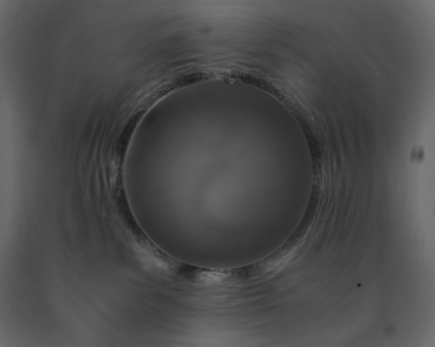 X0000091550139200708241803