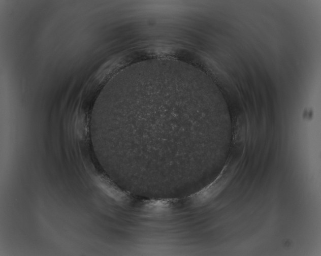 X0000091550140200708241803