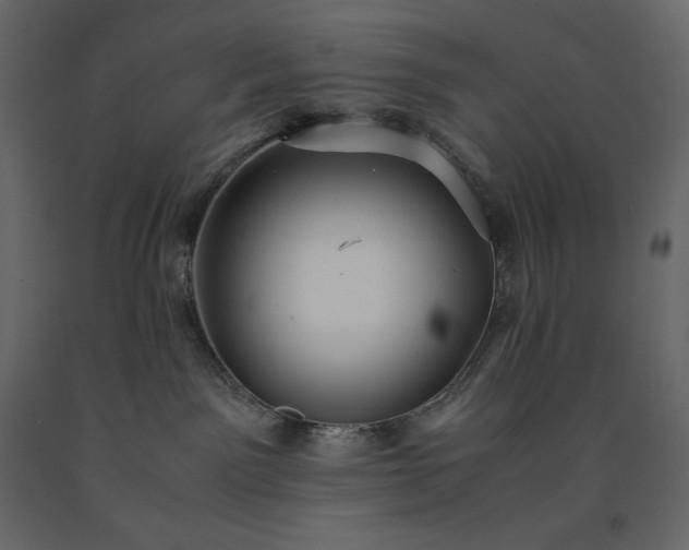 X0000091550141200708241803