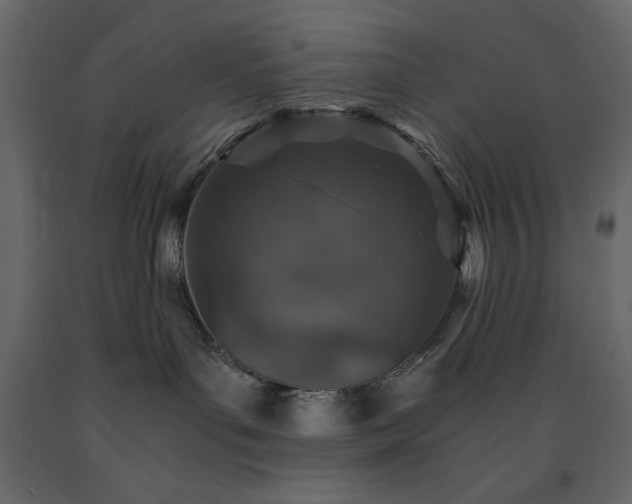X0000091550143200708241803