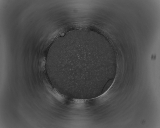 X0000091550144200708241803