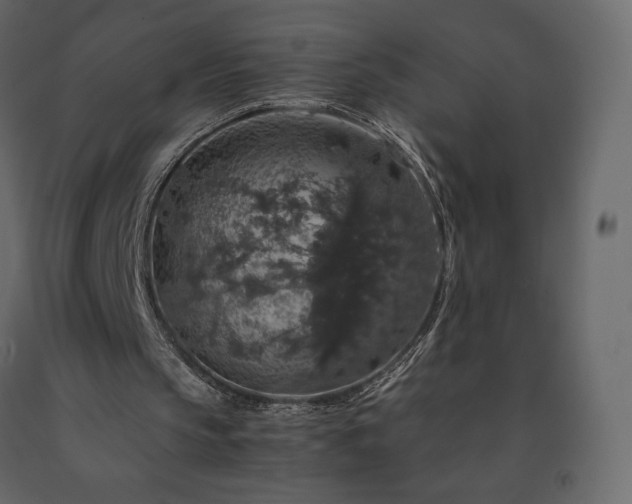 X0000091550145200708241802